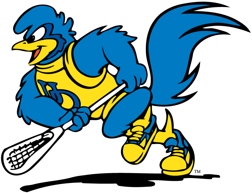 delaware blue hens 1993-pres mascot logo v4 diy fabric transfer